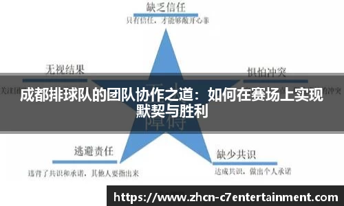 成都排球队的团队协作之道：如何在赛场上实现默契与胜利